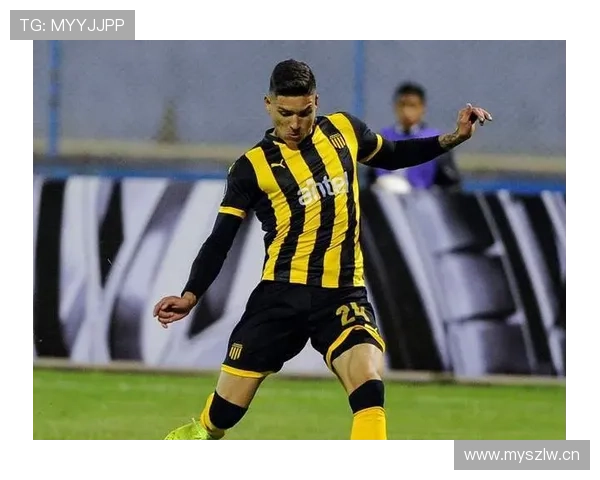 努涅斯:从潜力股到主力轮换的生涯阶段分析 努涅斯:从潜力股到主力轮换的生涯阶段分析