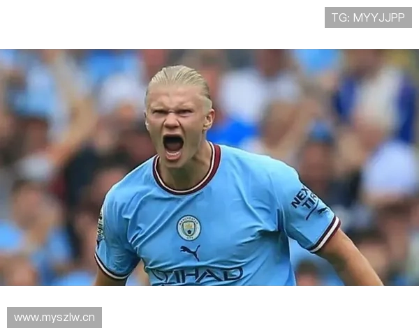 奥斯梅恩与哈兰德得分效率及战术适配差距在哪